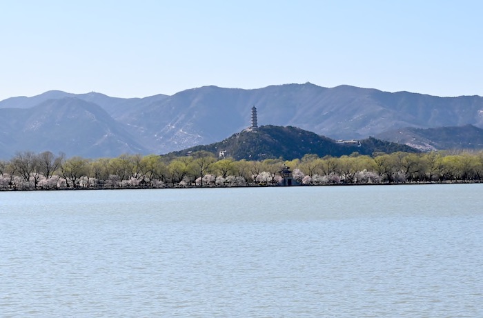 远观玉峰塔